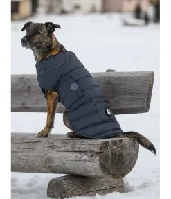sugar dog Manteau pour chien matelassé avec LED Arlo, 300 g navy Hot