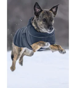 sugar dog Manteau pour chien matelassé avec LED Arlo, 300 g navy Hot