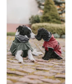 sugar dog Manteau pour chien softshell avec col polaire Frida forêt Clearance