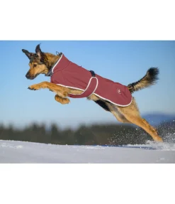 sugar dog Manteau pour chien softshell avec col polaire Frida cranberry Sale