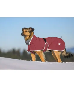 sugar dog Manteau pour chien softshell avec col polaire Frida cranberry Sale