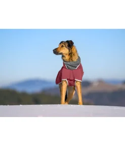 sugar dog Manteau pour chien softshell avec col polaire Frida cranberry Sale