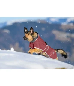 sugar dog Manteau pour chien softshell avec col polaire Frida cranberry Sale