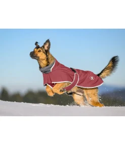 sugar dog Manteau pour chien softshell avec col polaire Frida cranberry Sale