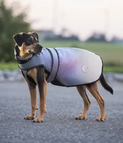 sugar dog Manteau réfléchissant gris Online