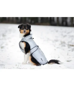 STEEDS Manteau réfléchissant pour chien Safety First, 0 g argenté Best