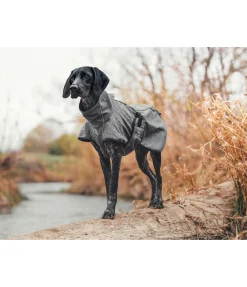 Back on Track Manteau softshell pour chien Bark, 0 g gris Outlet