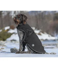 sugar dog Manteau softshell pour chien avec harnais intégré Cruz, 160 g noir Hot