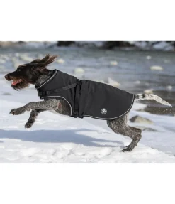 sugar dog Manteau softshell pour chien avec harnais intégré Cruz, 160 g noir Hot