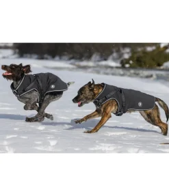 sugar dog Manteau softshell pour chien avec harnais intégré Cruz, 160 g noir Hot