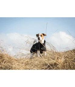 Back on Track Manteau softshell pour chien Bark, 0 g noir Best