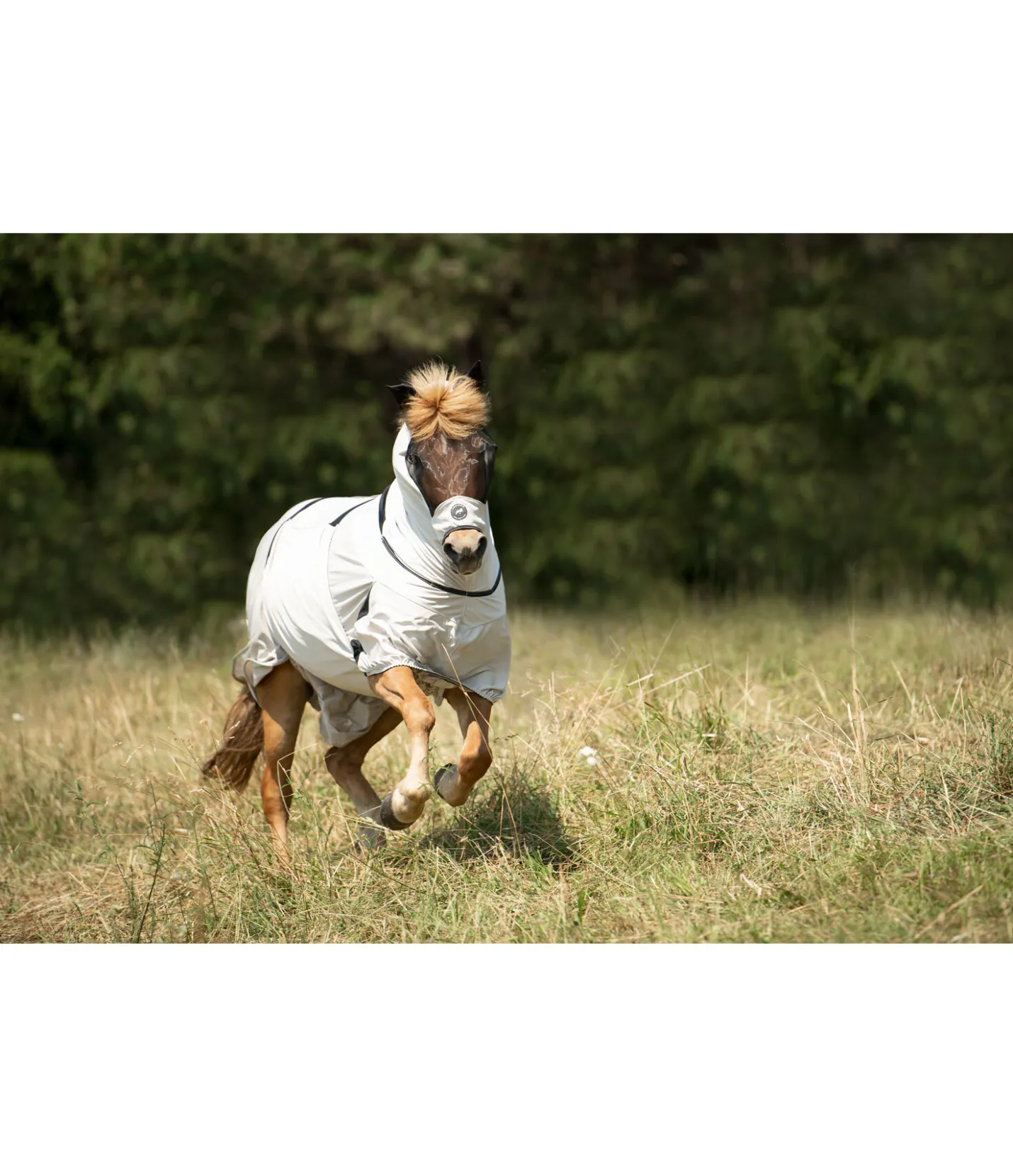 FENGUR Masque anti-eczéma pour chevaux islandais champagne New