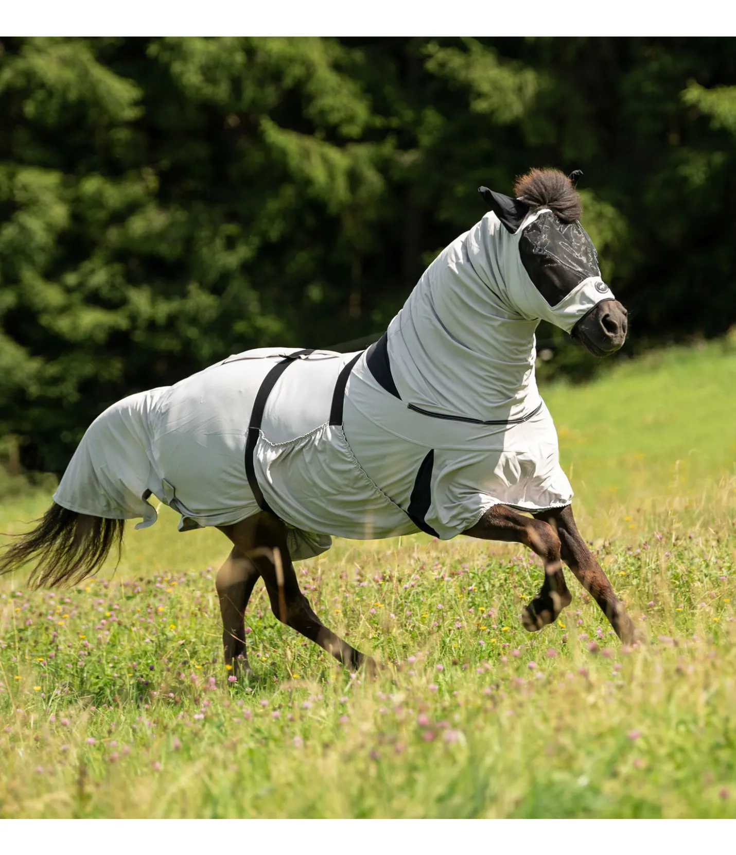 FENGUR Masque anti-eczéma pour chevaux islandais champagne New