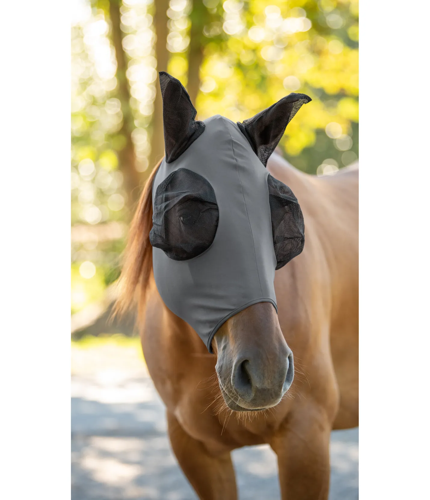 STONEDEEK Masque anti-mouches Elastic carbone Best