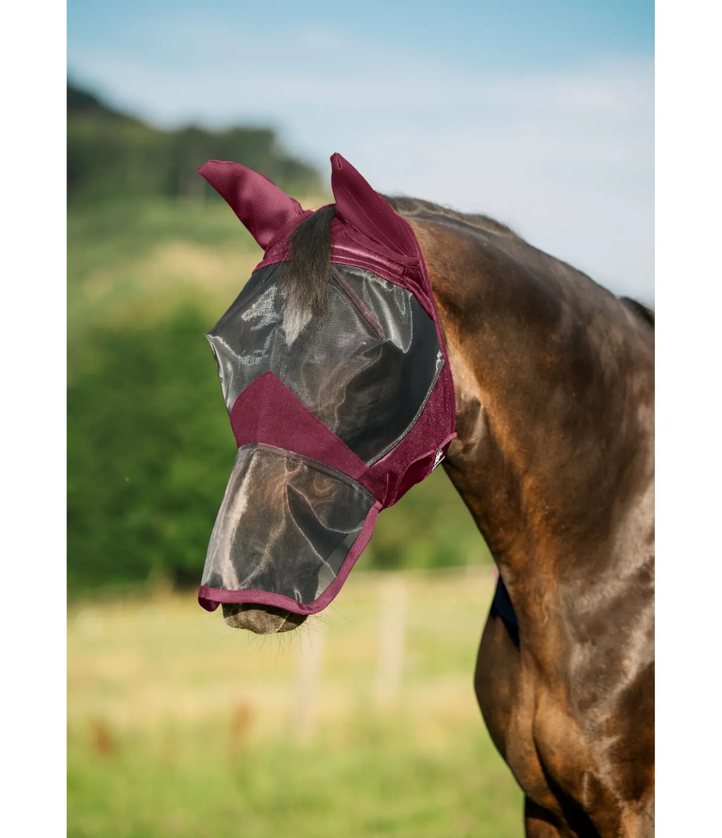 Felix Bühler Masque anti-mouches avec protège-naseaux Basic acajou Best