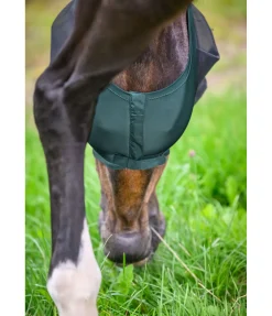 Felix Bühler Masque anti-mouches extensible avec fermeture à glissière vert d´eau Online