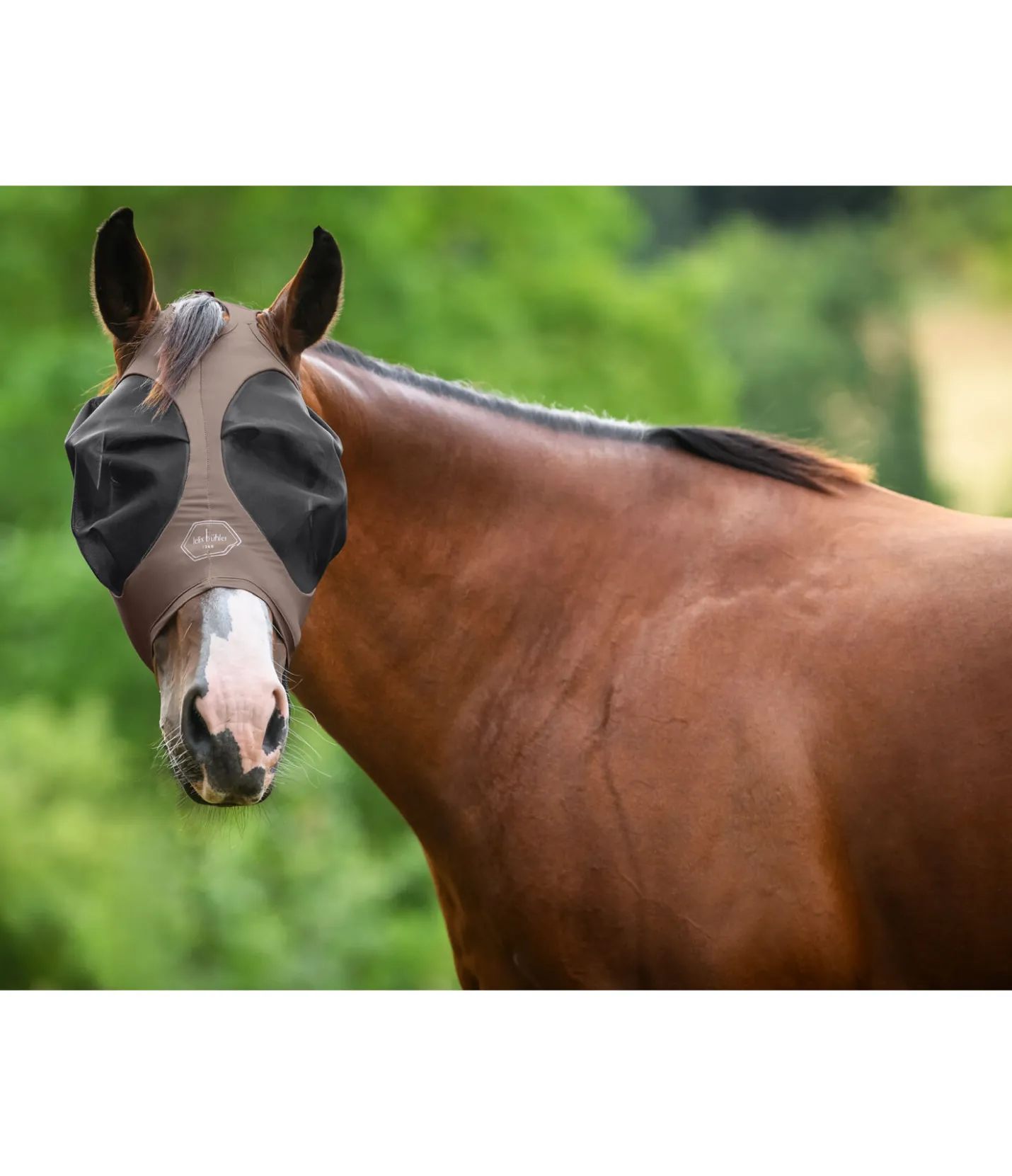 Felix Bühler Masque anti-mouches extensible avec fermeture à glissière Ear Free noisette Clearance