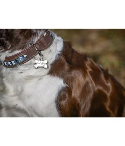 sugar dog Médaille Safety argenté Outlet