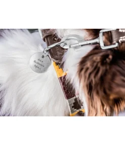 sugar dog Médaille Travel Buddy argenté Sale