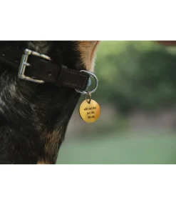 sugar dog Médaille Travel Buddy doré