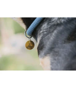 sugar dog Médaille Travel Buddy doré