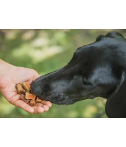 sugar dog Mélange de friandises colorées pour chien Hot