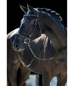 CLARIDGE HOUSE Muserolle anatomique sans noseband en cuir gras Mix & Match PRO noir/argenté Online