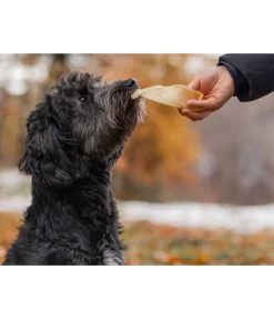 sugar dog Oreilles de boeuf pour chien . Produit en Autriche. Online