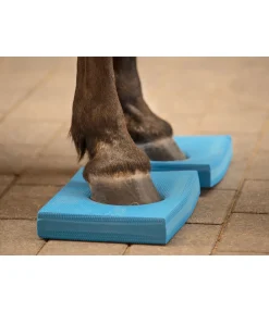SHOWMASTER Pad d'équilibre Balance bleu Outlet