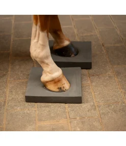 SHOWMASTER Pad d'équilibre Balance noir Clearance
