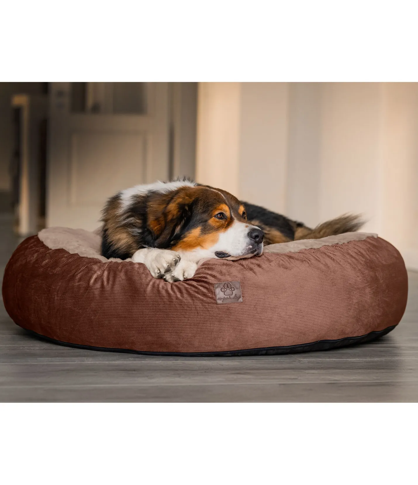 sugar dog Panier pour chien à mémoire de forme Quincy crème caramel New