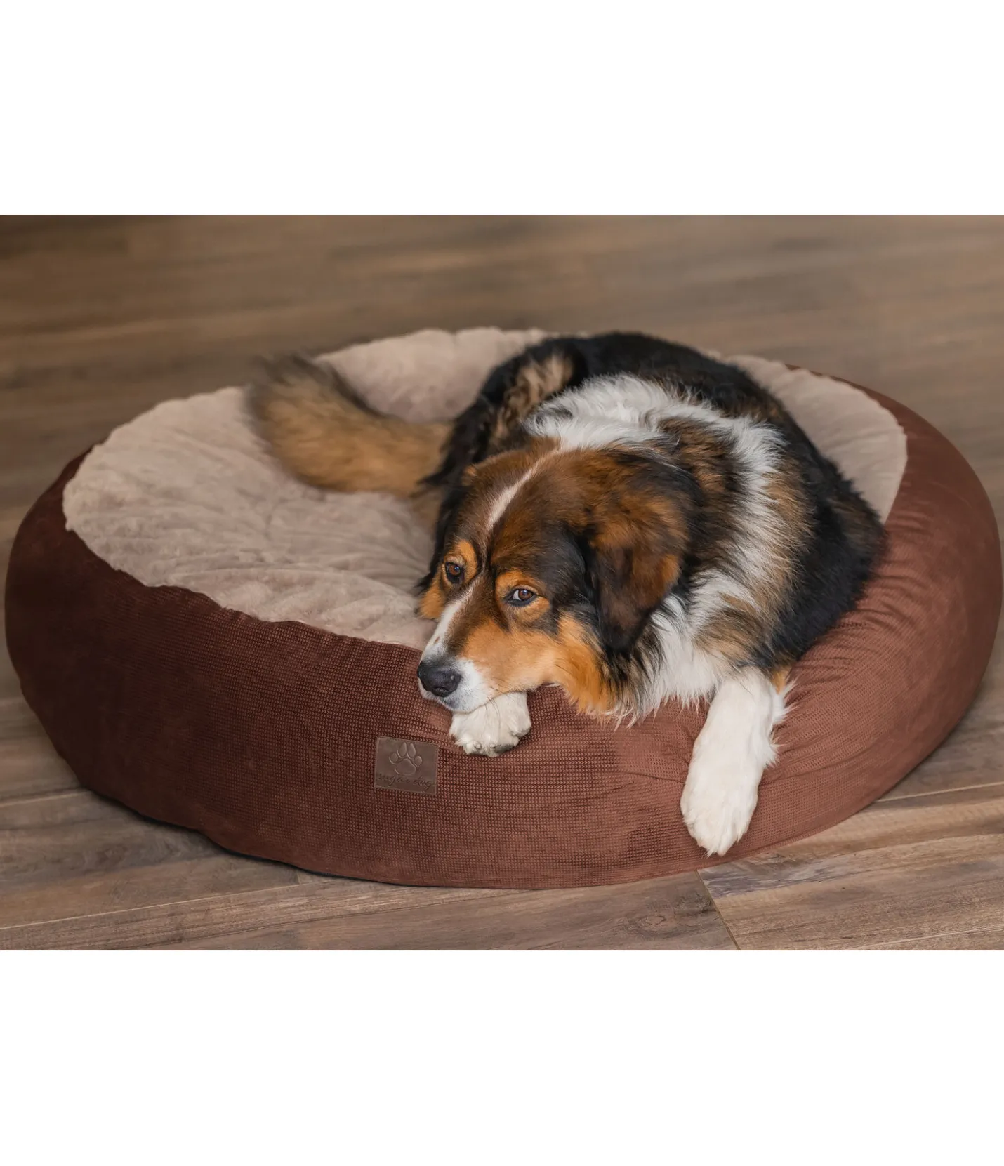 sugar dog Panier pour chien à mémoire de forme Quincy crème caramel New