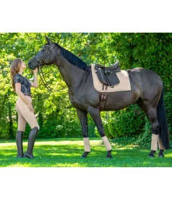 Felix Bühler Pantalon d'équitation à fond intégral Noemi champagne Best