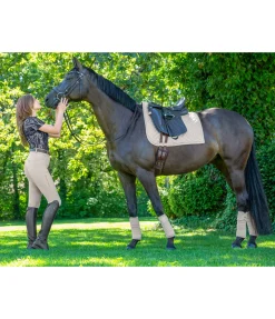 Felix Bühler Pantalon d'équitation à fond intégral Noemi champagne Best