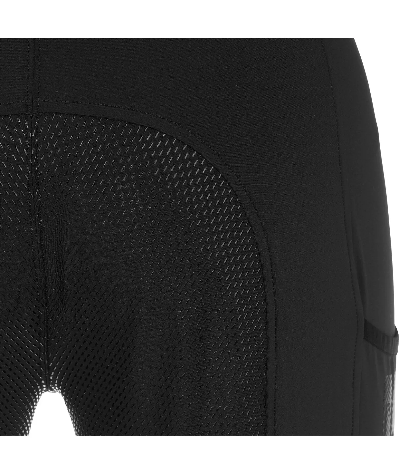 Felix Bühler Pantalon d'équitation hybride à fond intégral grip homme Tacoma noir Online