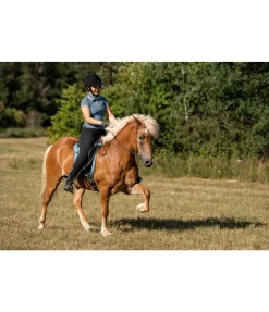 FENGUR Pantalon d'équitation jodhpur Svarta noir Clearance