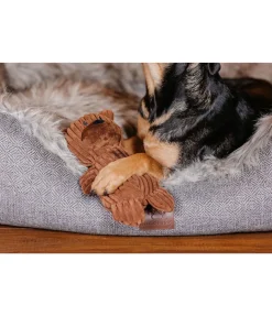 sugar dog Peluche ours pour chien Bruno marron foncé