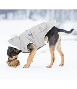 sugar dog Peluche ours pour chien Bruno beige Clearance