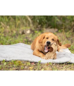 sugar dog Peluche ours pour chien Bruno beige Clearance