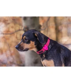 STEEDS Pendentif LED en silicone Flash pink Discount