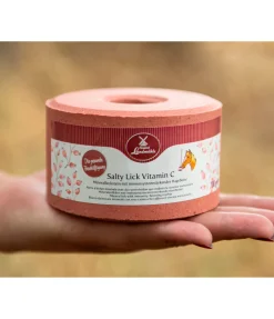 Original Landmühle Pierre à lécher Salty Lick Vitamine C Online