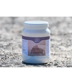 Original Landmühle Poudre pour l'estomac DarmRein Discount