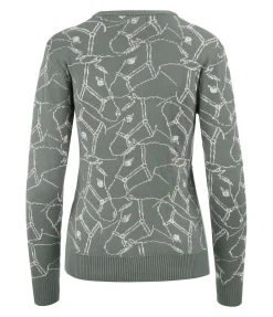 Felix Bühler Pull Svenia vert pastel Discount