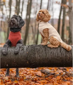 sugar dog Pull col roulé Maisie terre cuite Outlet