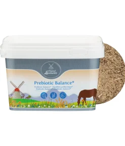 Original Landmühle Équilibre prébiotique + Best