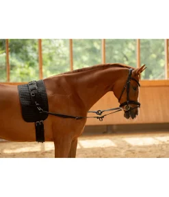 SHOWMASTER Rênes fixes en cuir avec anneaux en caoutchouc noir