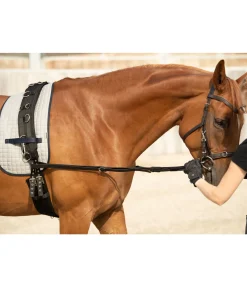 SHOWMASTER Rênes fixes en cuir Elastik noir New