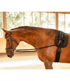 SHOWMASTER Rênes fixes en cuir Elastik noir New