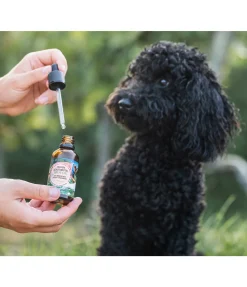 sugar dog Répulsif anti-tiques pour chiens Spot On Sale