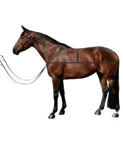 SHOWMASTER Sangle d'embarquement Quick noir Hot